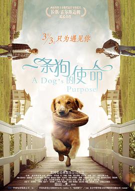 久久福利资源站免费观看i
